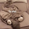 Animalitos Random🪴🐾 22