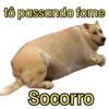 Bichinhos do ZAP 15