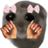 Mariamurax 23