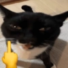 ^⎚ ˕ ⎚^Michis CaÓticos🐾 7