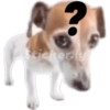 ? Sticker.ly