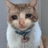 Quando está triste 11