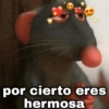 Cambio detema🔥pueden tus ideas 14