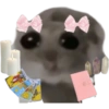 Mariamurax 6