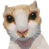 Michis Pixelados ≫🐈≪ 5