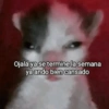 Ojalá ya se termine la semana ya ando bien cansado