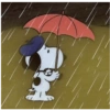 Snoopy  25
