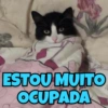 PURA IRONIA 10