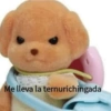 MEMES XD 19