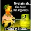 Lucu al 1 13