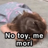 No toy, me mori @paragusvita 9