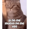 Lo que sea 🌚 14