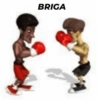 BRIGA