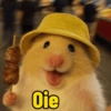 Os melhores memes  5