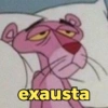 Pantera Cor-de-Rosa 🩷 23