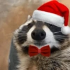 💚❤️Animalitos con gorrito❤️💚 15