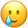 Emojis de IPhone  25