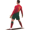 RONALDO STICKER 9