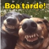 Boa tarde!