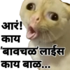 आरं! काय 'बावचळ' लाईस काय बाळ...