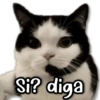 MEMES Vitales! #2 🎊 6
