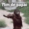 Macaquinhos 🐒 6