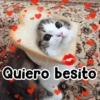 Quiero besito