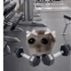 Memes de academia 🏋️🥵 9