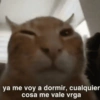 ya me voy a dormir, cualquier cosa me vale vrga