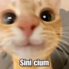Sini cium Patty