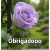 Obrigado / agradecer 13