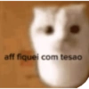 aff fiquei com tesao