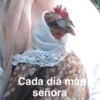MEMES XD 6
