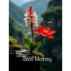 Good morning 22