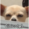 Cínico(@)