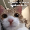 te mando un besito tú sabrás donde