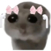 Mariamurax 7