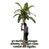 Hptvm 18
