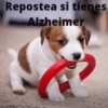 WhatsApp Stickers 2024 13