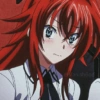 Rias Gremory... 17