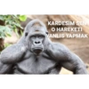 Goril 25