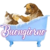 Ciao buona giornata  20