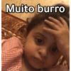 Muito burro
