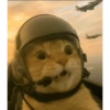 MEME KUCING 26