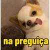 Os melhores memes  10