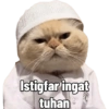 Kucing Bakekok 10