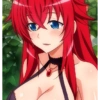Rias Gremory... 13