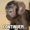 Macaquinhos 🐒 13