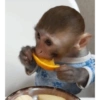 Changuitos pa' comentar 8
