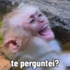 🐒 Macaco pra Reagir 20